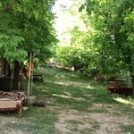 باغ تفریحی دهکده