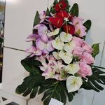 فروشگاه گل رز