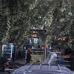 طباخی سعادت آباد اصلی