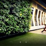 باشگاه ورزشی برگ سبز