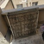 مجید زارعی محب