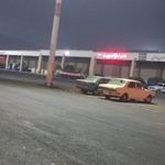 میدان میوه و تربار شاهدیه