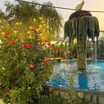 رستوران ونوس