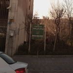 فضای سبز
