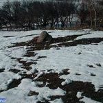 روستای داش بلاخ