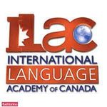 آموزش زبان مقدم