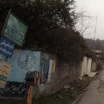داروخانه دامپزشکی