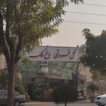 گل فروشی باغ ملک