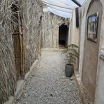 فست فود دکتر نیک