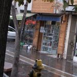 گلکده شقایق