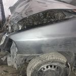 رنگ آمیزی زاینده