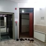 حسینیه سربیشه ای ها
