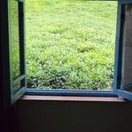 اقامتگاه جنگلی کنار رودخانه (ماه تی تی)