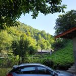 اقامتگاه جنگلی کنار رودخانه (ماه تی تی)