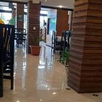 چلو جوجه برادران کلبادی