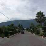 مجتمع گلها