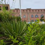 مسجد امام علی