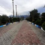 مجتمع گلها