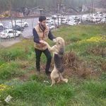 پارک وکیل آباد