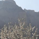 قلعه تاریخی کهرود