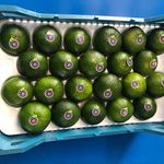 میوه فروشی میرعظیمی