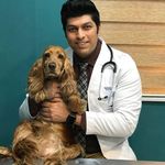 کلینیک دامپزشکی و پت شاپ گیلانا