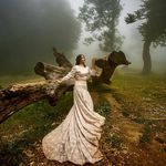 خیاطی و مزون نویس (تحویل فوری)