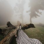 خیاطی و مزون نویس (تحویل فوری)