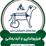 بیمارستان دامپزشکی شبانه روزی درین