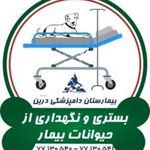 بیمارستان دامپزشکی شبانه روزی درین