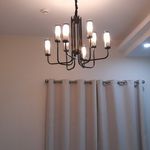 سعید سیاوشی