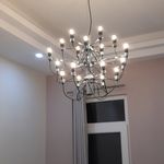 سعید سیاوشی