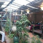 سفره خانه شبزدگان