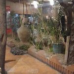 سفره خانه شبزدگان