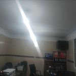 امیر علیزاده