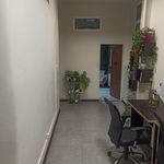 مسجد جامع محمدیه