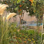 خانه تاریخی بخردی