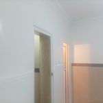 امیر علیزاده