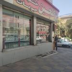 دلی مانجو