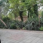 سرویس بهداشتی