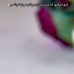 خدمات تخصصی ناخن مژگان