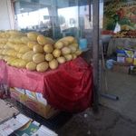میوه و تره بار