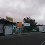 مجموعه ورزشی الزهرا(س)