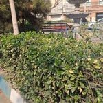 بوستان دربند