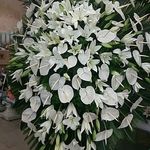 تاج گل انلاین باغ ارم