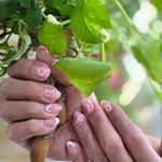 سالن آرایش و زیبایی رویا