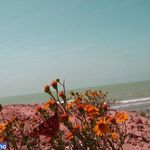 دهکده توریستی مال قائد