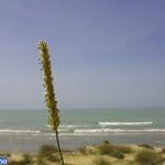 دهکده توریستی مال قائد