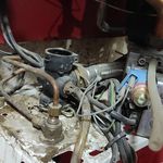 اسماعیل صحرائی