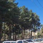 بوستان ارکیده  شهدا 